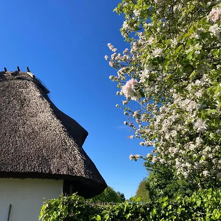 Cosy Country House Hébergement de vacances